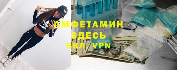 стафф Алексин