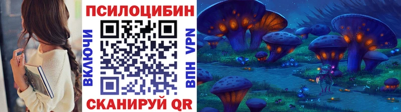 Галлюциногенные грибы мицелий  где продают   Боровичи 