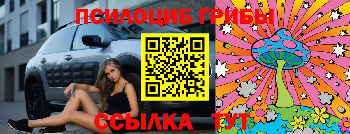 Псилоцибиновые грибы прущие грибы  Вход с VPN  Боровичи 